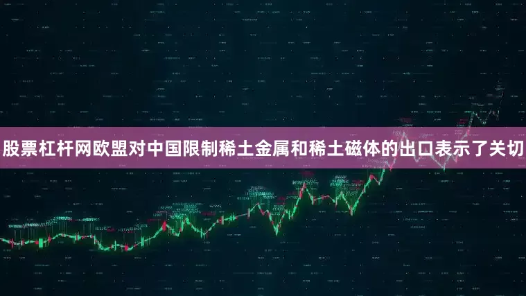 股票杠杆网欧盟对中国限制稀土金属和稀土磁体的出口表示了关切